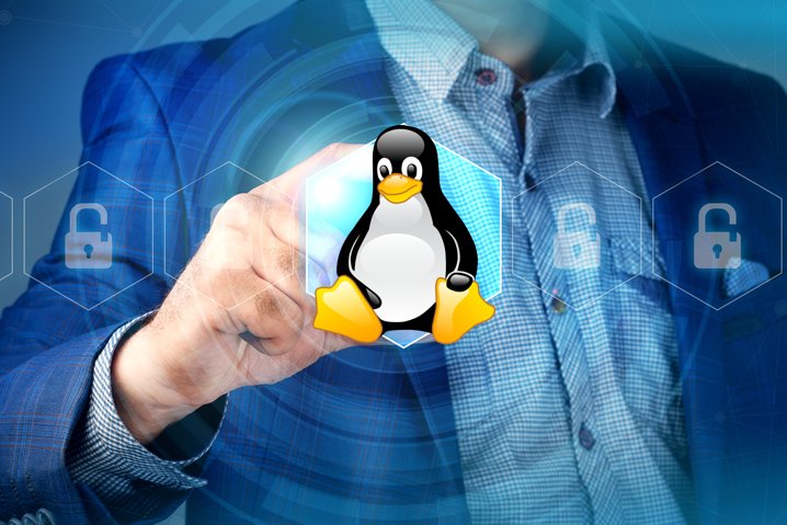 Linux Bugs